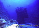 picture03